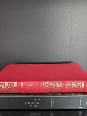 Goatskin NIV Thinline Bible